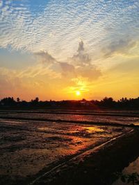 Scenic view of sunset over land