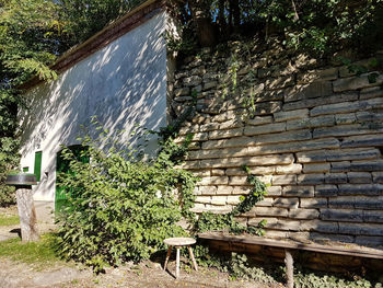 High angle view of plants by wall