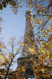 Low angle view of tower amidst trees against sky