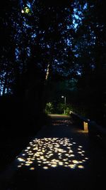 Shadow of trees on footpath at night