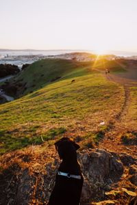 Rear view of woman with dog on cliff against sky during sunset