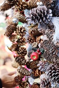 Close-up of pine cones hanging from for sale