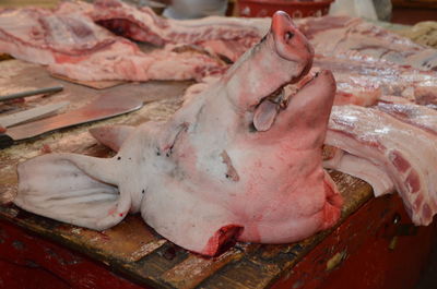Close-up of dead pig head for sale in local market