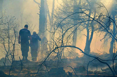 Firefighters amidst smoke at forest