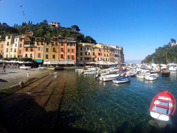 Boats moored at harbor against buildings in city