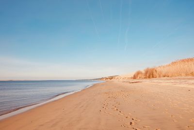 Scenic view of beach against clear blue sky