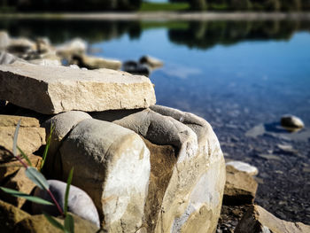 Close-up of stones on rock at beach