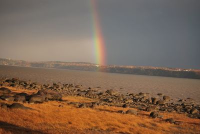 Scenic view of landscape