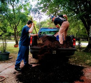 Rear view of man working