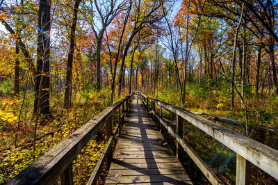 Footbridge amidst trees in forest during autumn