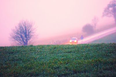 Scenic view of grassy field during foggy weather