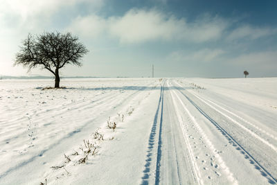 Snow-covered road and a lonely tree on the horizon, winter view