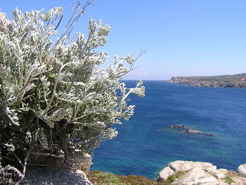 Scenic view of calm sea against blue sky