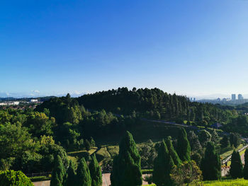 Panoramic view of trees on landscape against clear blue sky