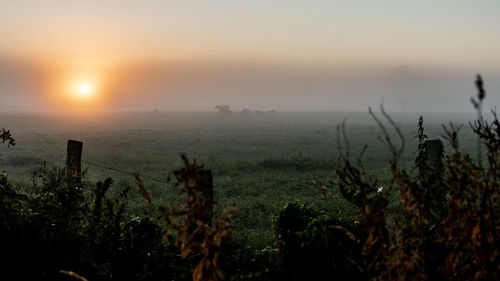 Scenic view of field against sky during sunset