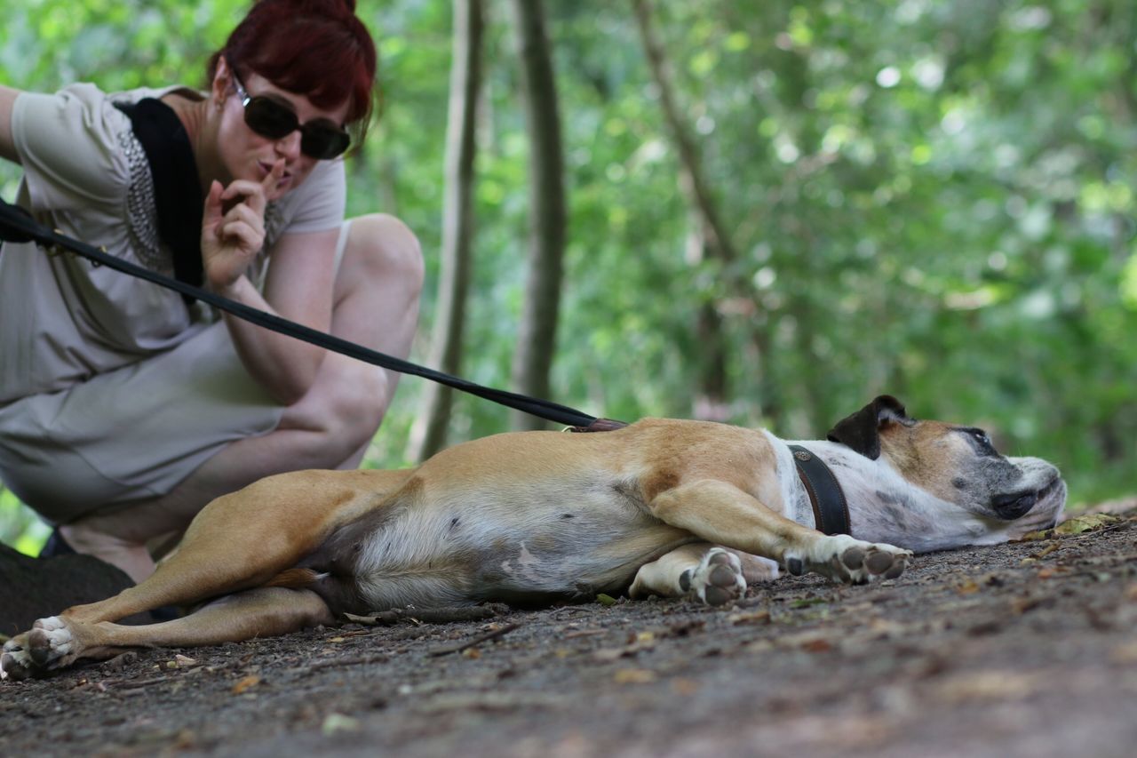 animal themes, dog, one animal, mammal, domestic animals, pets, lifestyles, pet owner, leisure activity, sitting, relaxation, togetherness, men, lying down, focus on foreground, holding, bonding, day