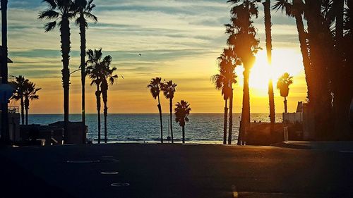 Silhouette palm trees on beach against sky during sunset