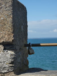 View of bird against the sea
