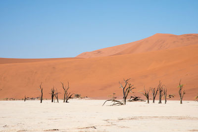 Scenic view of desert against clear sky