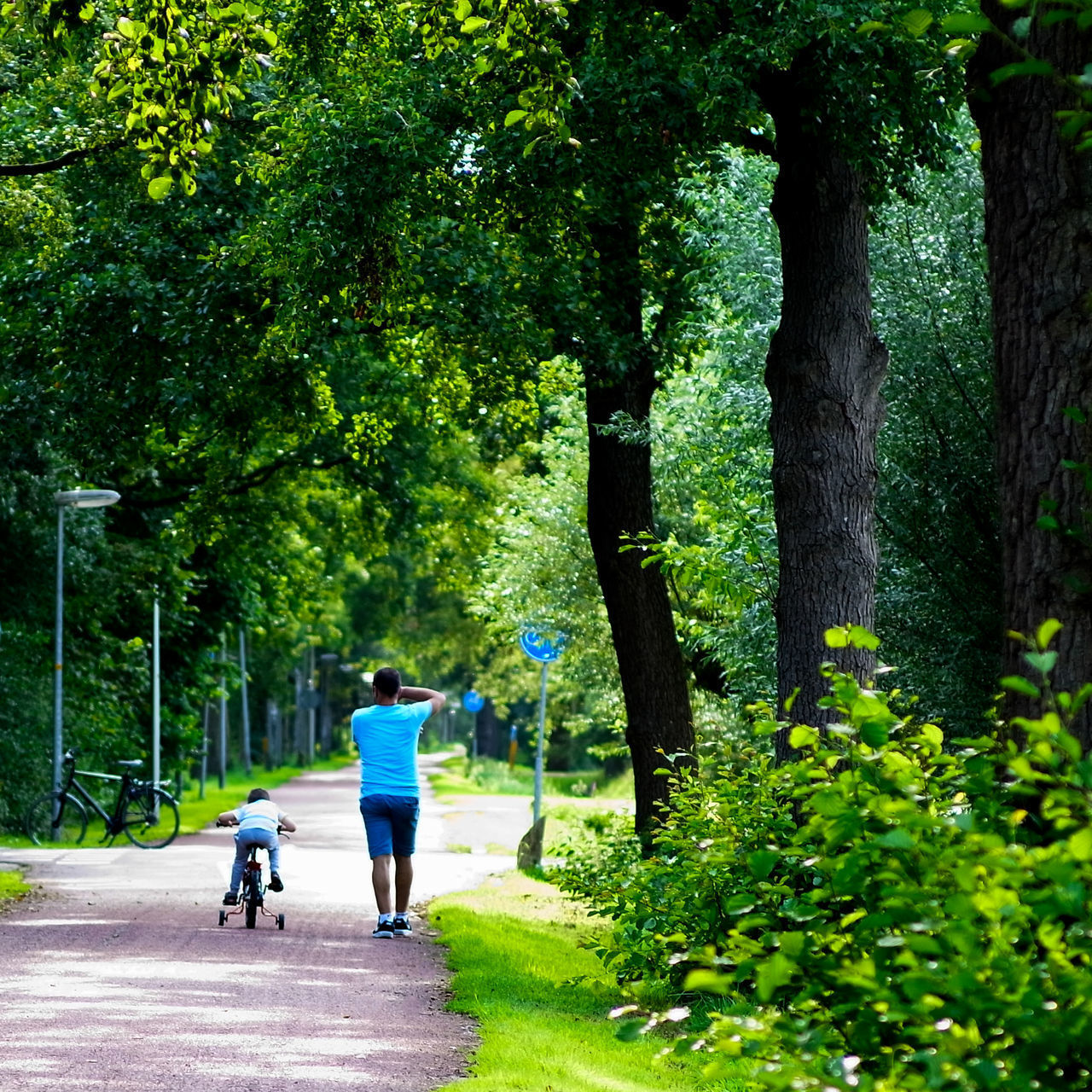 REAR VIEW OF WOMEN WALKING ON FOOTPATH BY TREES