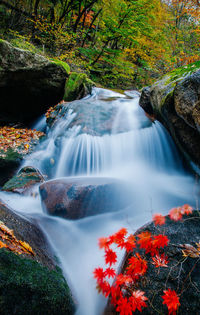Water flowing through rocks at forest during autumn