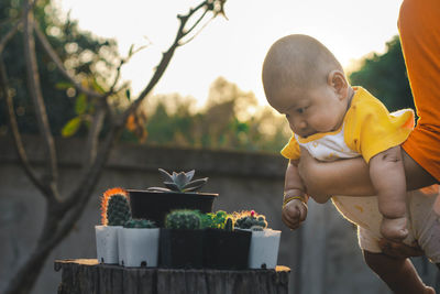 Midsection of parent holding cute son looking at potted plants on table against sky during sunset