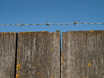 Barbed wire over wooden fence