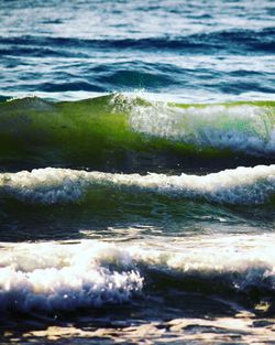 Scenic view of beach