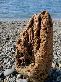 Close-up of rock on beach