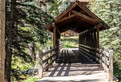 View of footbridge in forest
