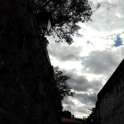 Low angle view of silhouette trees against sky