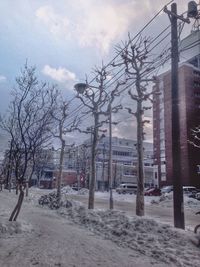 Built structure with trees in background