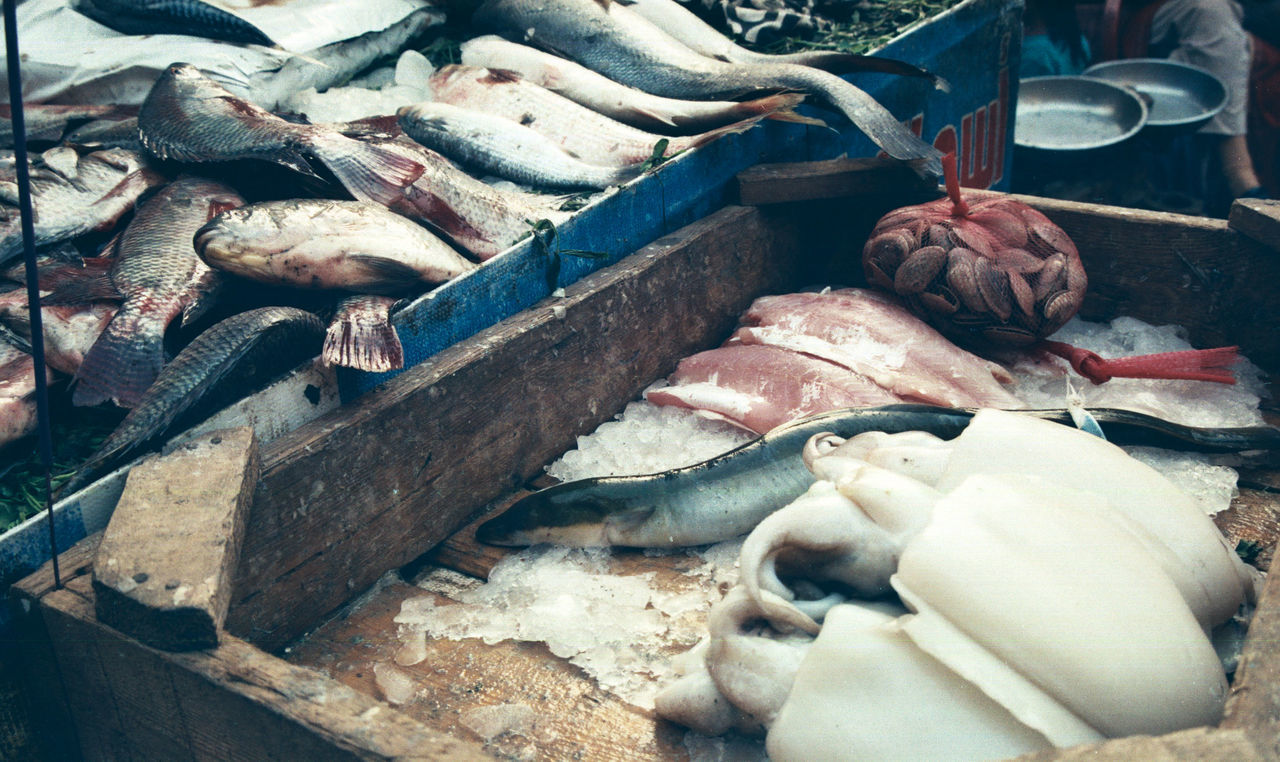 HIGH ANGLE VIEW OF DEAD FISH ON FLOOR