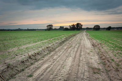 Scenic view of agricultural field against sky during sunset