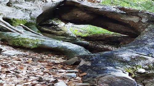 Close-up of rock