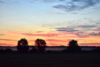 Silhouette trees on field against sky at sunset