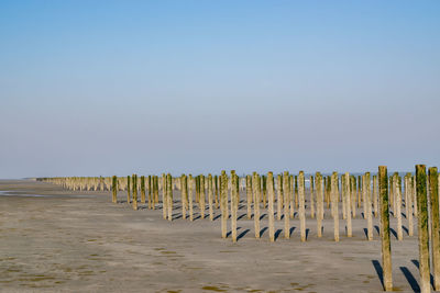 Wooden posts on beach against clear sky