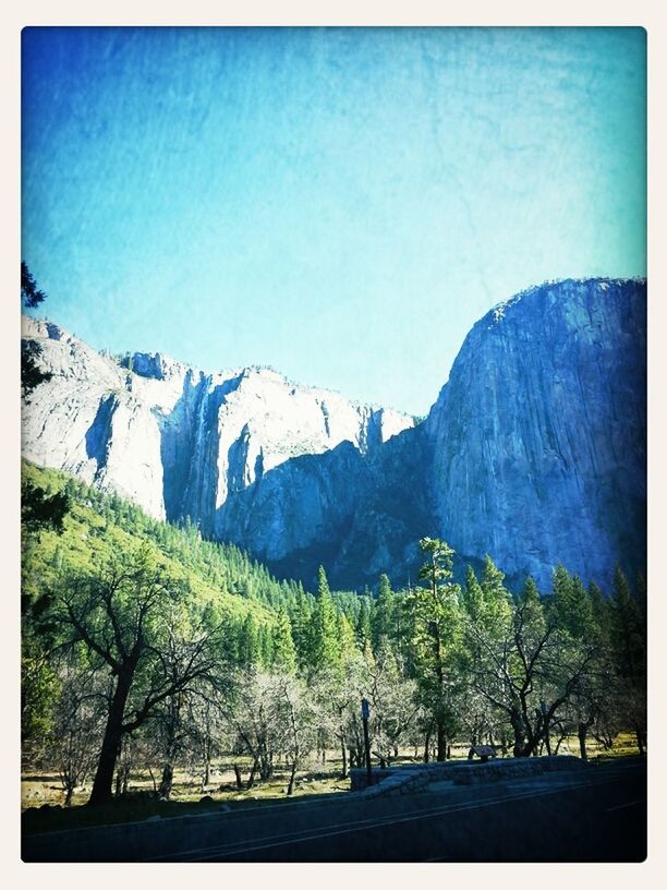 Yosemite CA