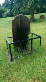 Empty bench on grassy field