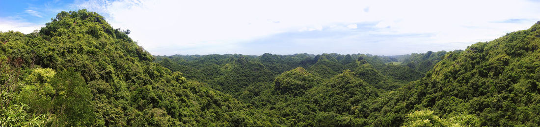 Scenic view of forest against sky