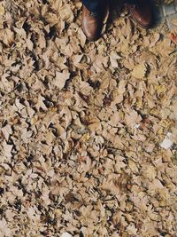 Full frame shot of water