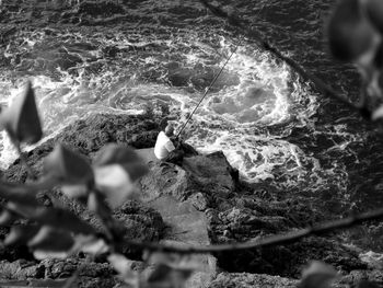 Close-up high angle view of bird in water