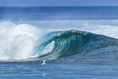 Water splashing in sea