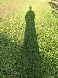 Shadow of person on grassy field