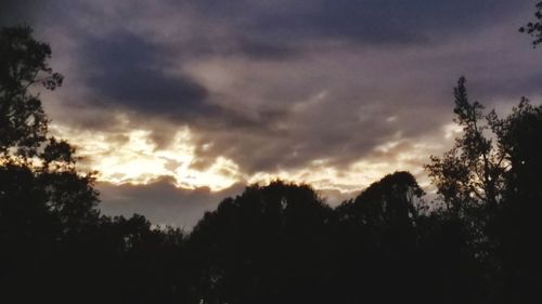 Low angle view of silhouette trees against dramatic sky