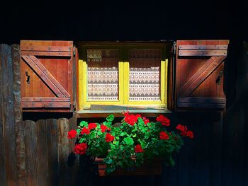 Close-up of red text on wall