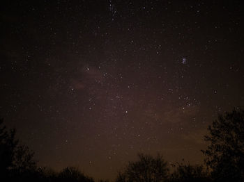 Low angle view of silhouette trees against star field at night