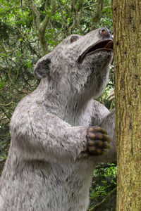 Close-up of elephant in forest