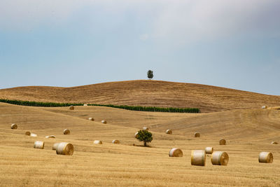 Hay bales on field against sky