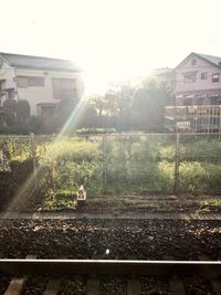 Sun shining through house on grassy field